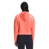 The North Face Logo Play Hoodie - Women's