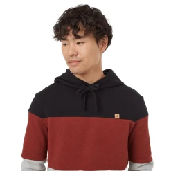 Tentree TreeFleece Blocked Reynard Hoodie - Men's