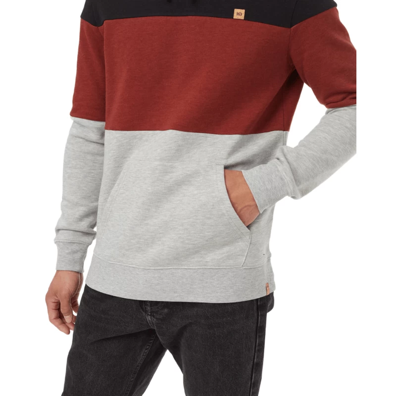 Tentree TreeFleece Blocked Reynard Hoodie - Men's - Image 4